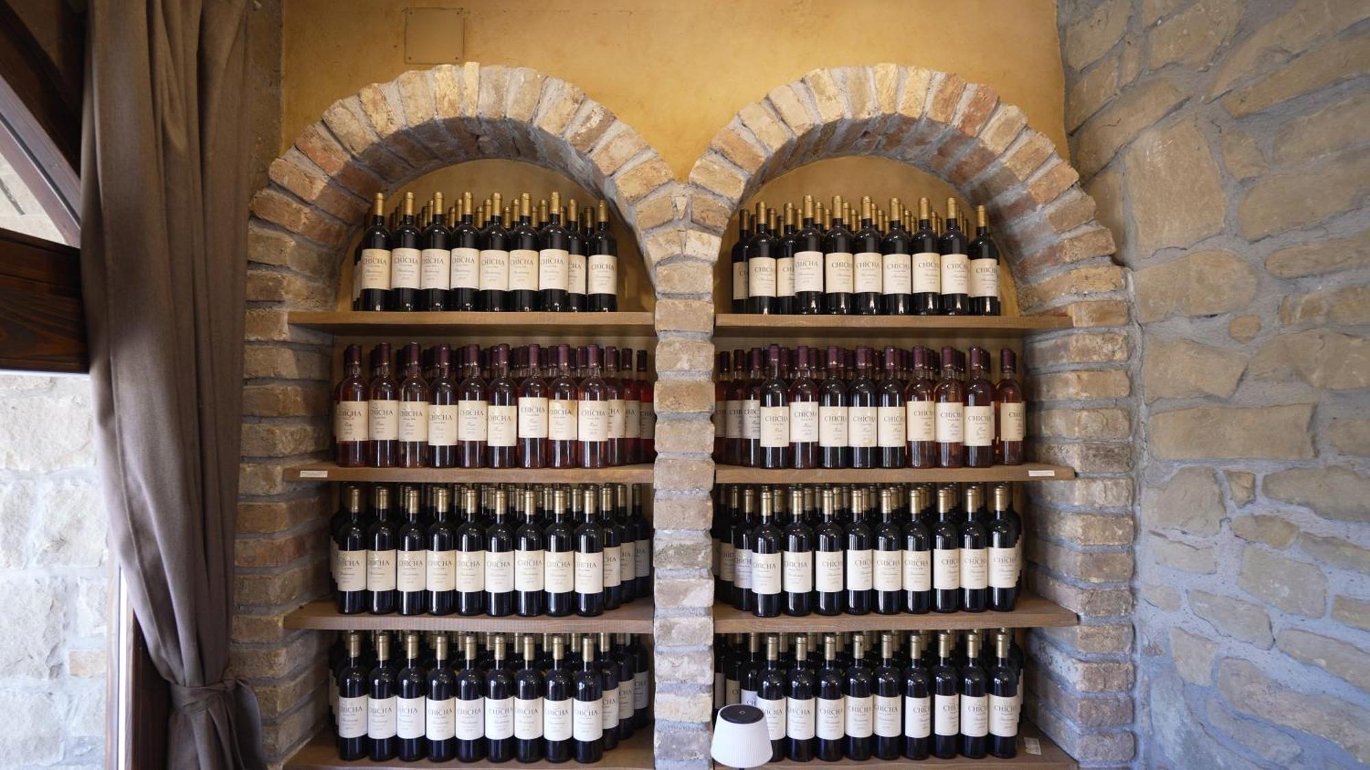 Garni Hotel Chicha - Winery Skrbic Belgrade Extérieur photo