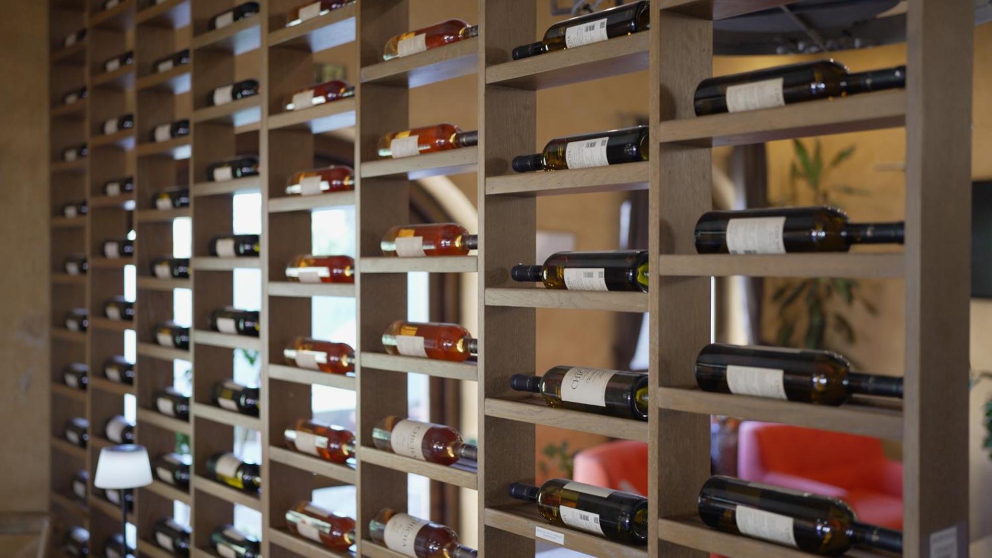 Garni Hotel Chicha - Winery Skrbic Belgrade Extérieur photo